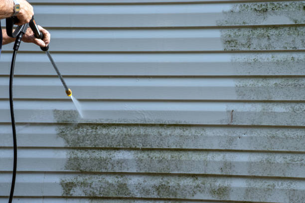 Best Insulated Siding Installation  in West Blocton, AL