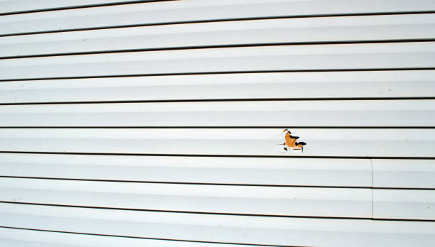 Best Brick Veneer Siding  in West Blocton, AL